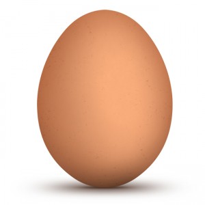 egg