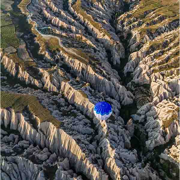 turkey